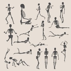 Human skeleton collection. Halloween party design. Silhouettes in various poses