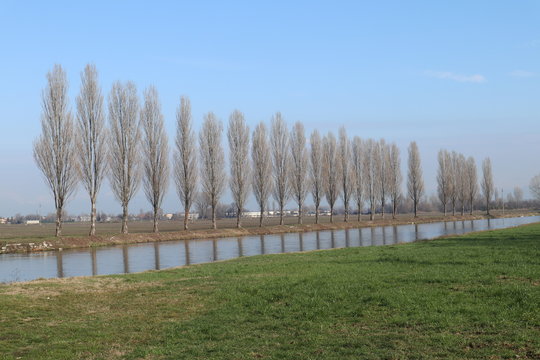 Domenica al parco, Italia