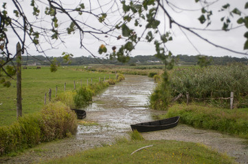 paysage de marais