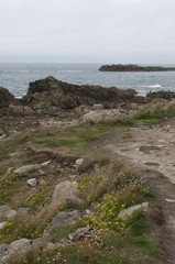 rocher en bord de mer