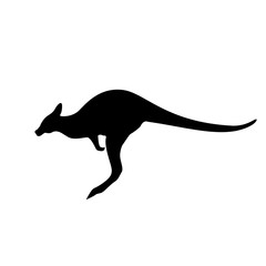 kangaroo silhouette of Australian animal.