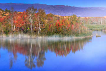 Naklejka premium Colorful trees reflecting in tranquil lake in the morning.