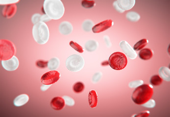 Red and white blood cells,blood circulation.