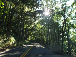 Obraz premium Driving through the USA in the car