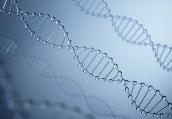 Glass DNA model,DNA structure