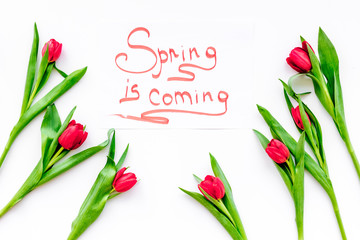 Spring is coming hand lettering surrounded by red tulips on white background top view