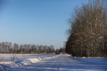empty rural road in a forest in winter day 