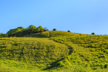 Pathway up a Green Hill