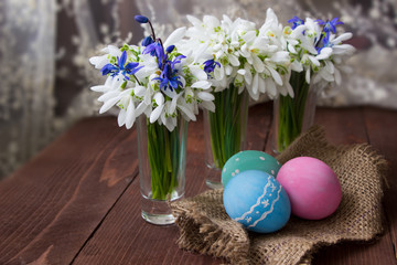 Ester background.Easter colored  eggs and  snowdrops flowers on wooden table.Template for greeting...