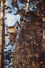 Birdhouse covered with snow hanging on a tree