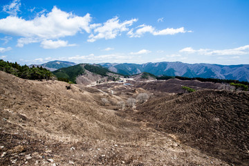 焼けた山