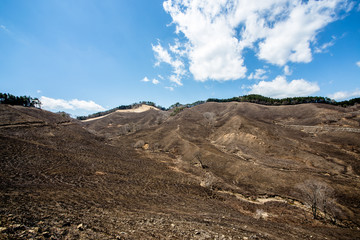 焼けた山