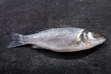 fresh fish sea bass on dark background