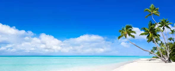Photo sur Plexiglas Plage et mer Été, soleil, plage et mer comme arrière-plan panoramique