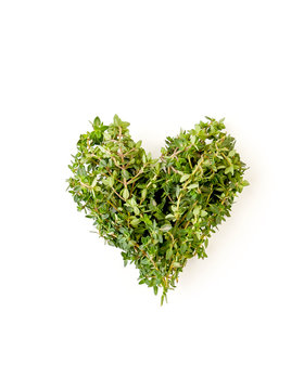 Heart of fresh thyme branches on a clean white background..