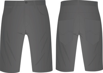 Grey short pants. vector illustration
