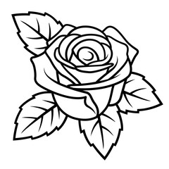 Rose sketch 004