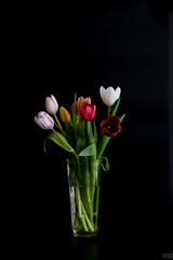bouquet tulipes