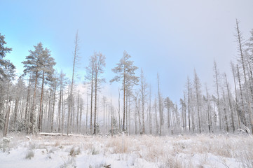 Простор © igor1812