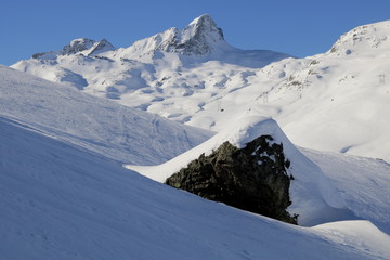 Skitourenparadies Bivio  Piz Turba 3018m, Piz Forcellina 2939m © Reinhold Einsiedler