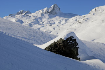 Skitourenparadies Bivio
Piz Turba 3018m, Piz Forcellina 2939m