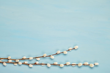 Blue background with willow branches, symbols of spring and easter