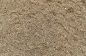 shoes print on dry sand for background
