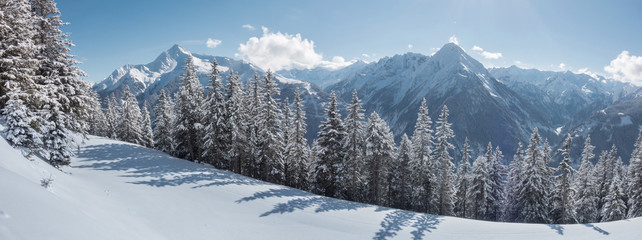 winterliches Bergpanorama