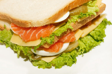 Sandwich with salmon. Sandwich with red fish.Sandwich isolated white background.