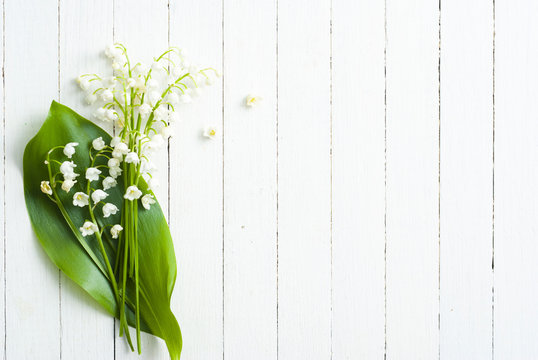 Lily of the valley on white wooden