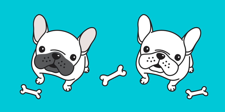 dog vector french bulldog icon bone logo character cartoon illustration