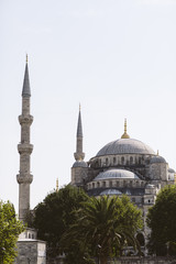 Fototapeta na wymiar Blue Mosque in Istanbul.