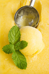 Mango icecream in a box with scooper. Tropical fruite. Sweet dessert.