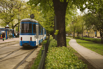 Naklejka premium Running trams in the city center of Krakow, Poland