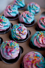 delicious cupcakes for birthday