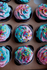 delicious cupcakes for birthday