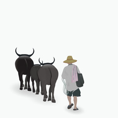  thai villager Bring the buffalo to grassland for  buffalo Eat grass in up-country of thailand,,Vector illustration eps 10