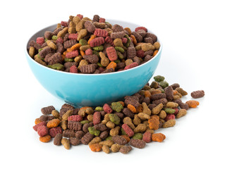 Heap of dry pet food in blue plastic bowl
