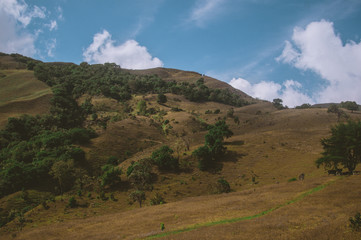 Fototapeta premium SONY DSC