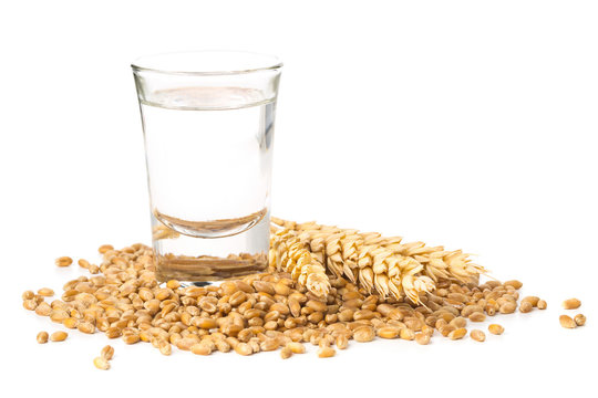 German hard liquor Korn Schnapps in shot glass with wheat grains and ears