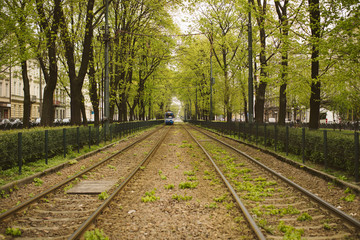 Fototapeta premium Running trams in the city center of Krakow, Poland