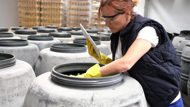 Woman control olives quality in fruit warehouse with table