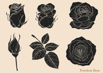 Rose vector set by hand drawing.Beautiful flower on white background.Rose art highly detailed in line art style.Freedom rose for wallpaper