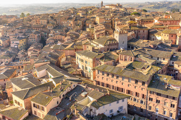 Fototapeta na wymiar aerial view over the city of Siena, tuscany, Italy