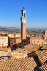 Obraz premium Siena and the Mangia tower, tuscany, Italy