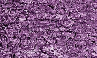 Tree bark texture in purple tone.