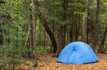 Blue Tent Pitched in Wooded Campground
