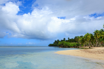 Fototapeta na wymiar Palm trees on white tropical beach.