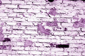 Grunge brick wall texture in purple tone.