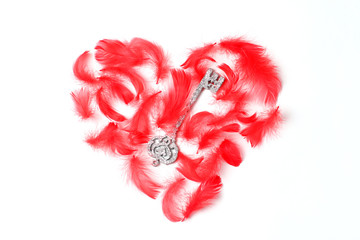 Concept for Valentine's Day. heart lined with red feathers and a silver key. Flat lay, top view, creative layout